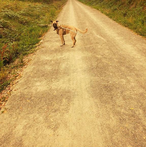 Meet your Posher, Jeremy - Picture 1 of 1